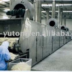 Mesh Belt Dryer for Vegetable and Fruit