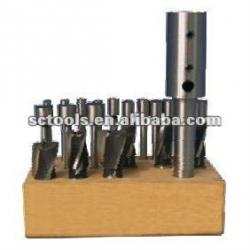 METRIC 21PCS HSS INTERCHANGEABLE PILOT COUNTERBORES SET