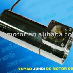 Micro DC Motor