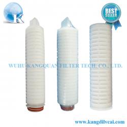 Micropore Pleated Membrane Water Filter