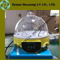 Model HS9-7 mini home egg chicken incubator