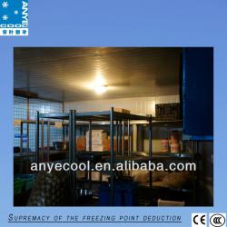 modular cold room,cold storage,blast freezer,cooling room