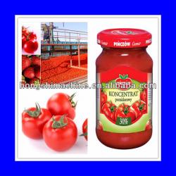 Multifunctional tomato paste machine/tomato paste processing machine