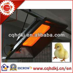 New type safe chicks gas brooder poultry equipments