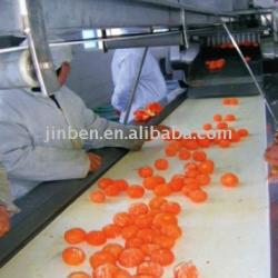 Orange peeling machine