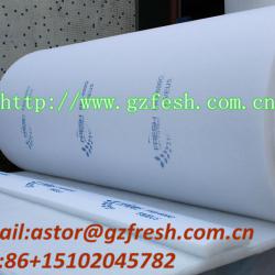 Paint stop booth air filter media/roll air filter in air filter manufacture