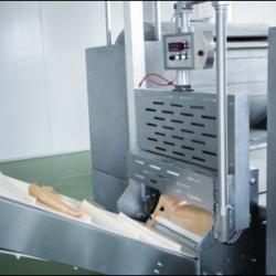 Paste sending machine/biscuit machine/food machine