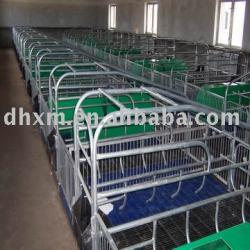 Pig equipment farrowing crate