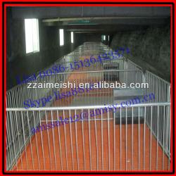 piglet breeding equipment