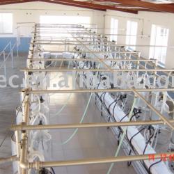 Pipeline Cow Milking Parlor/Milking Equipments