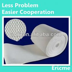 Polyester Micron Filter Cloth/Manufacturer ISO9001