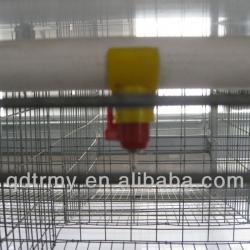 poultry drinkers for chicken farm