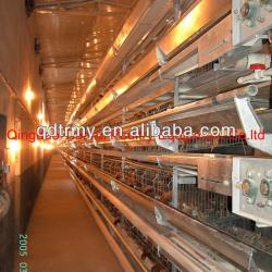 poultry farming chicken layer raising equipment