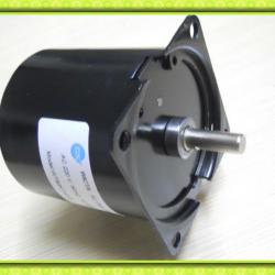 Reversible 220v 120v AC Synchronous Motor