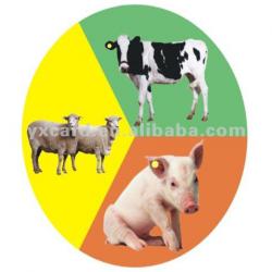 RFID Animal Tag