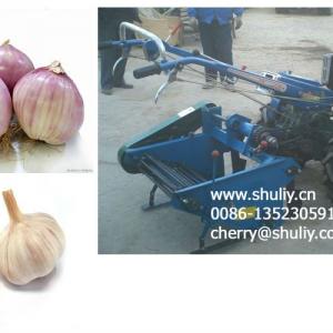 run by with walking tractor 500-600 working width onion and garlic harvester 0086-13523059163