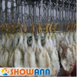 SA37A Chicken Slaughtering Production Line of Slaughter Conveyor