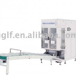 sachet | pouch drinking water filling packing machine | equipment