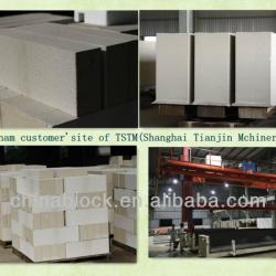 SHANGHAI TIANJIN professional aac block production line AAC block