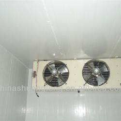 ShuangFeng walk in freezer chiller room