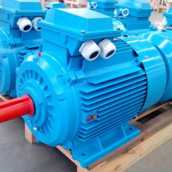 SM Series Cast Iron Electric Motor