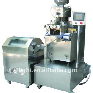 Soft gel capsule machine RJWJ-100