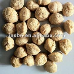 Soya Protein Nuggets Chunks Machinery