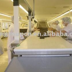 stainless steel mesh food belt conveyor system