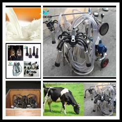 Stainless steel milking machine in Uganda