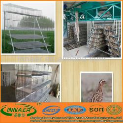 Supply Automatic Feeding Quail Cage in High Quality(ISO9001)