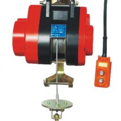 suspending electric hoist