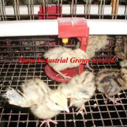 TAIYU Professional Manufacturer Quail Cage Design