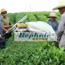 tea plucker,tea pluck machine,pick tea-leaves machine,Tea Picking machine,plucktea machine,picking tea leaves machine