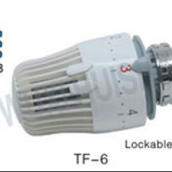 thermostatic valve head with valve