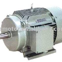 three phase induction electric motor