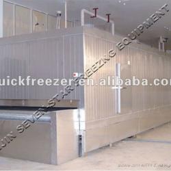 Tunnel Freezer IQF