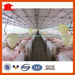 Turn key farm pig project feeder