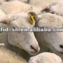 uhf sheep ear tag