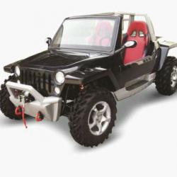 UTV 800cc 4x4 4x2 eec adult buggy with chery brand EFI engine