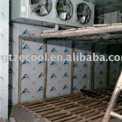 Vegetable cold room :8200*10200*2700Mm(H)*100mm