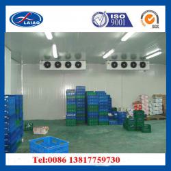 vegetable cold storage room (cold storage, walk in freezer room,cooling room)