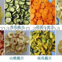 vegetable fish meat processing vacuum fryer frying machine