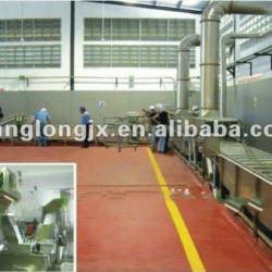 vegetables and fruit Freezing line