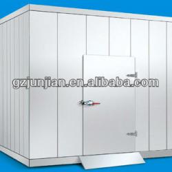 Walk-in Cold Room Chiller Freezer, Meat Fruit Cool Room