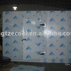 Walk in Freezer cold storage 2850*2750*2460mm(H)*125mm