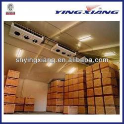 walk-in fruit cold storage chiller/cold room chiller