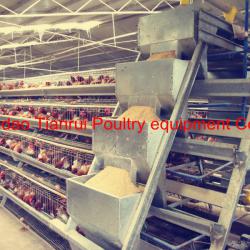 wire mesh cage chicken layer for kenya farms