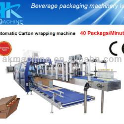 Wrap Around Carton Packing Machine