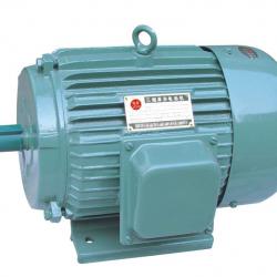 Y series three phase induction motor