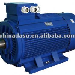 Y2 series electric motor with energy label